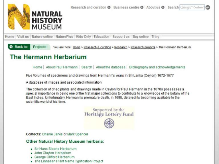Гербарий Павла Германа из коллекции лондонского Музея естественной истории