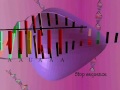 Protein Synthesis (Translation, Transcription Process).avi